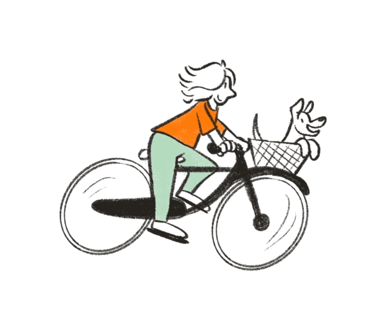 A person cycling with a dog in the basket